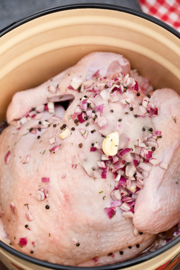 Brined turkey in a large pot.