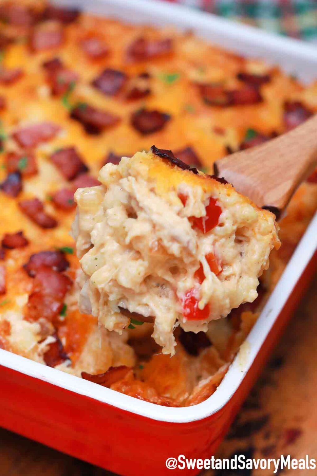 Creamy Turkey Casserole [Video] Sweet and Savory Meals