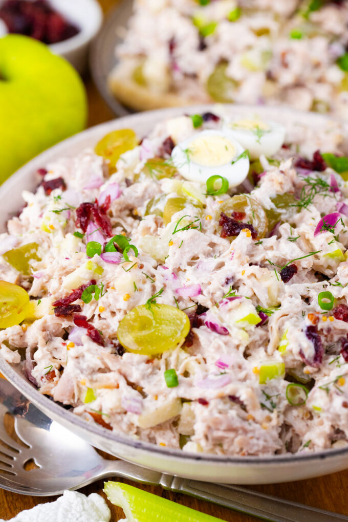 A bowl of turkey salad.