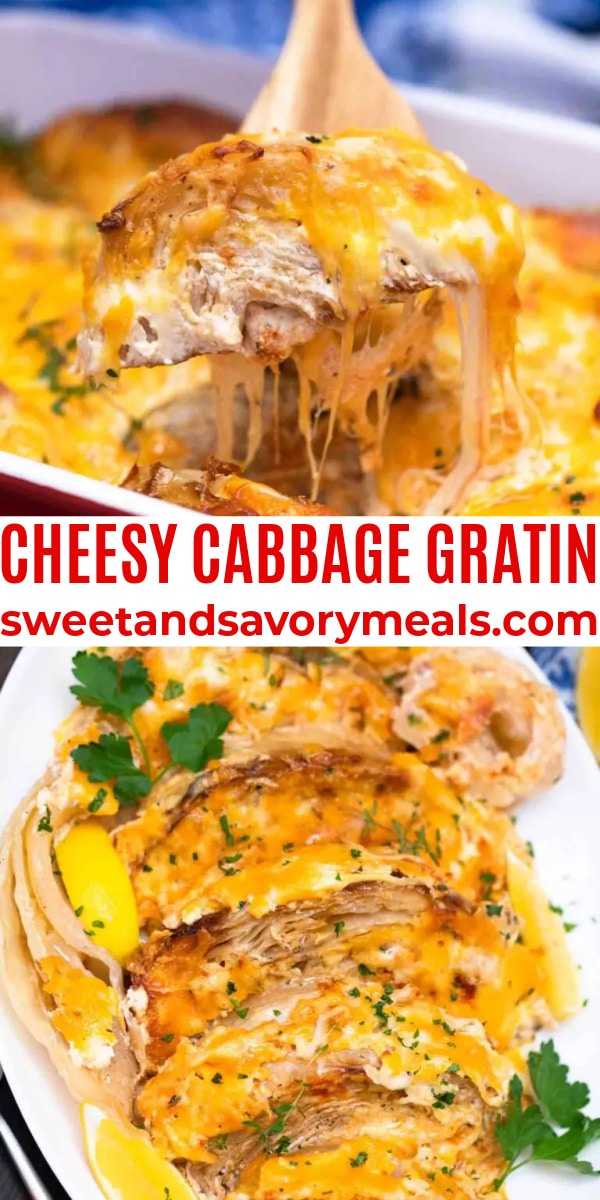 easy cheesy cabbage gratin pin