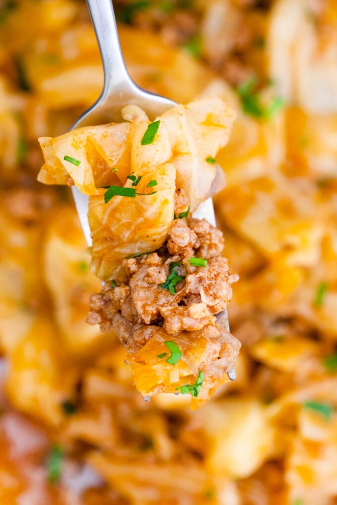 A forkful of homemade Turkish ste with cabbage and ground beef.