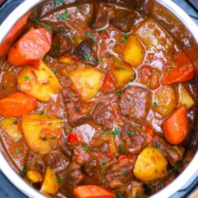 instant pot Mexican beef stew