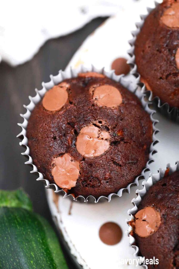 chocolate zucchini muffin with chocolate chips