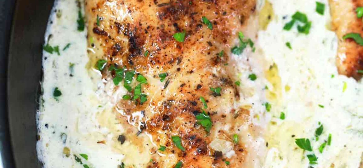 one pan creamy parmesan chicken