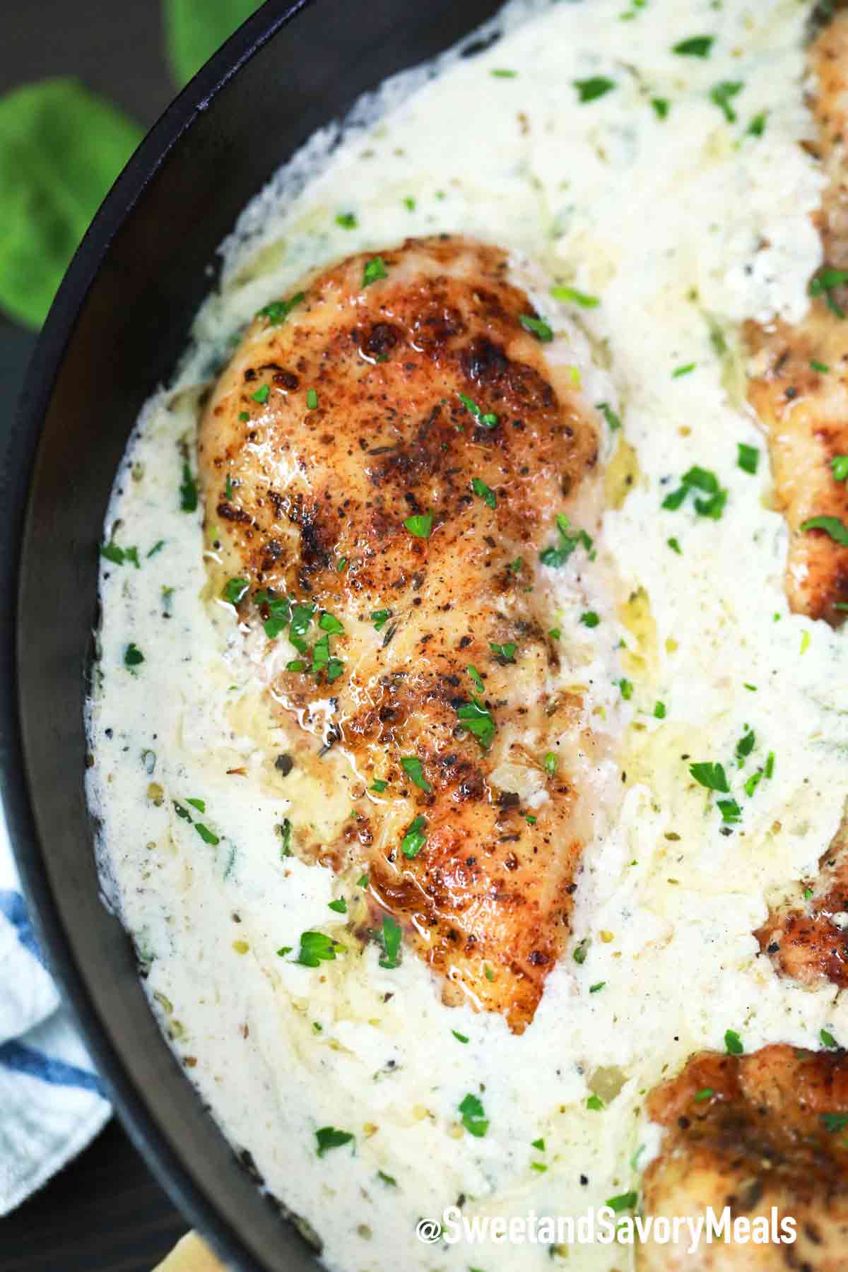 one pan creamy parmesan chicken