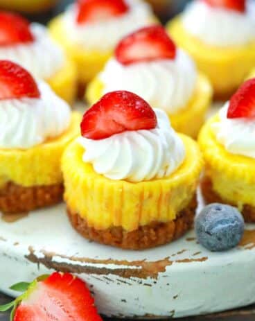 Mini Cheesecakes Recipe