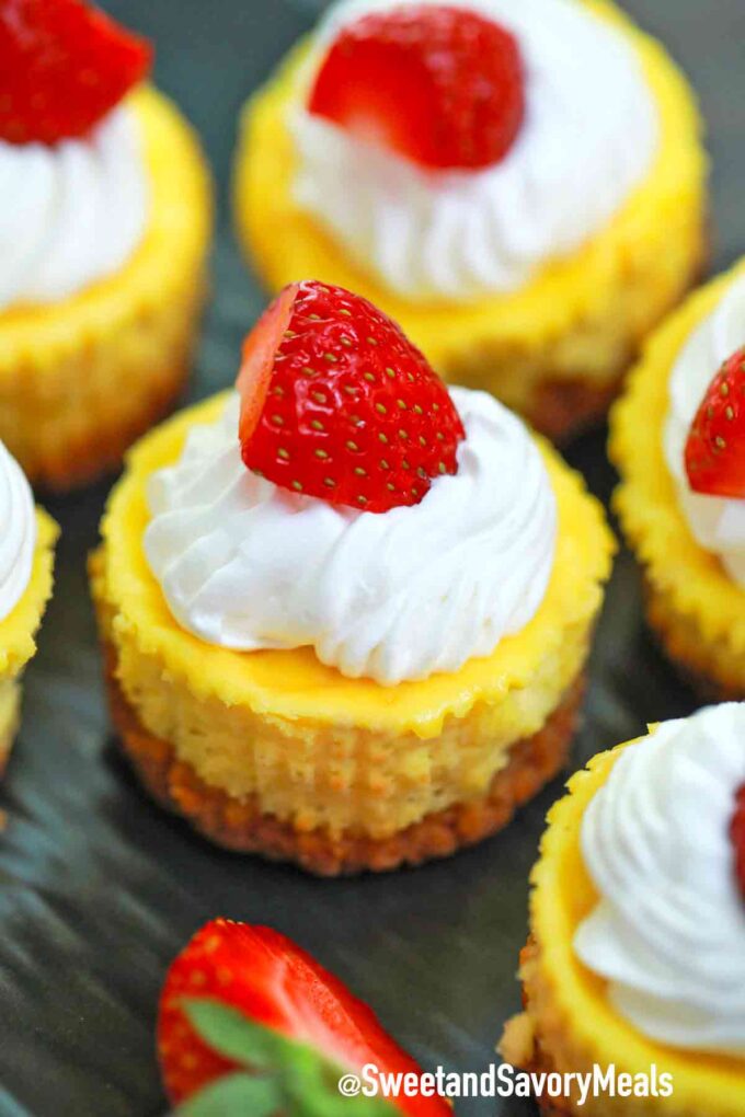 mini cheesecakes with whipped cream