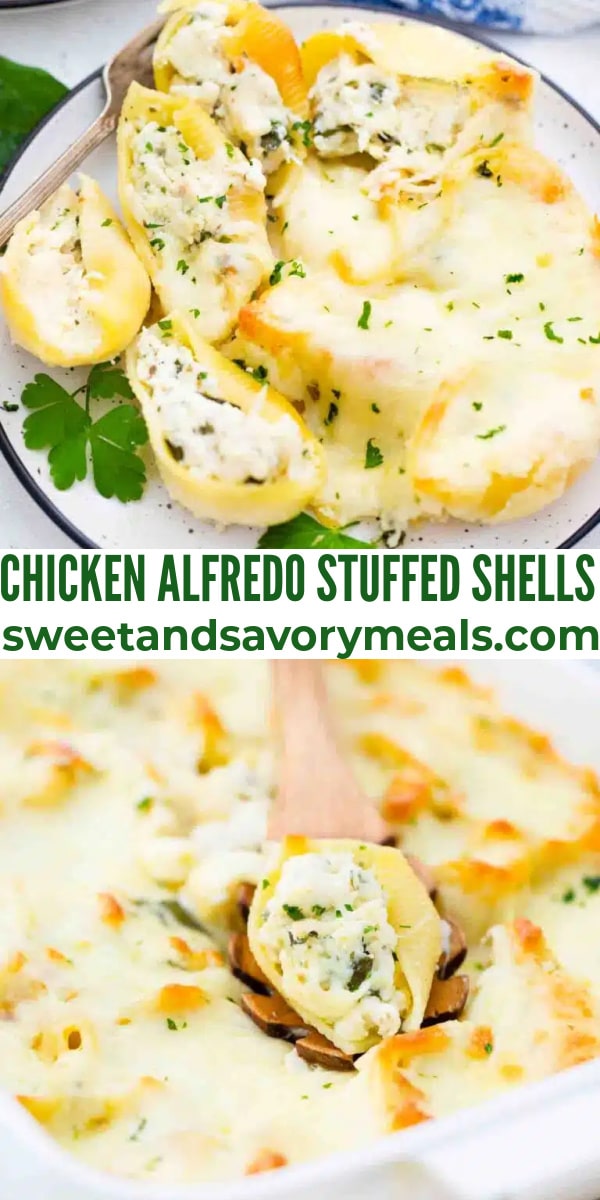 easy chicken alfredo stuffed shells pin