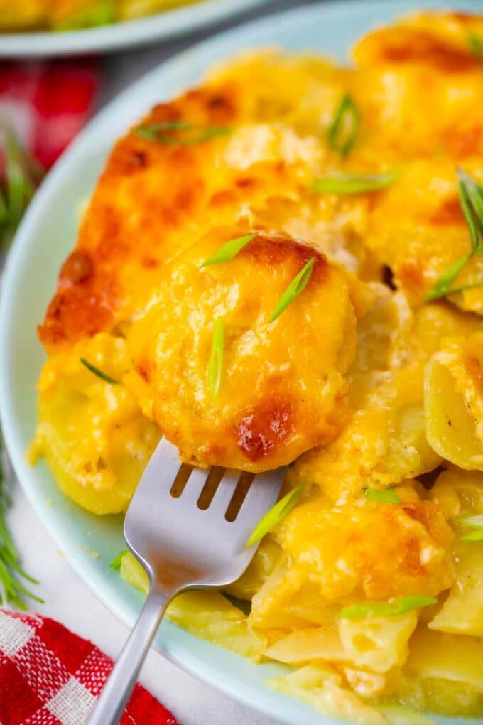 A forkful of cheesy instant pot scalloped potatoes.