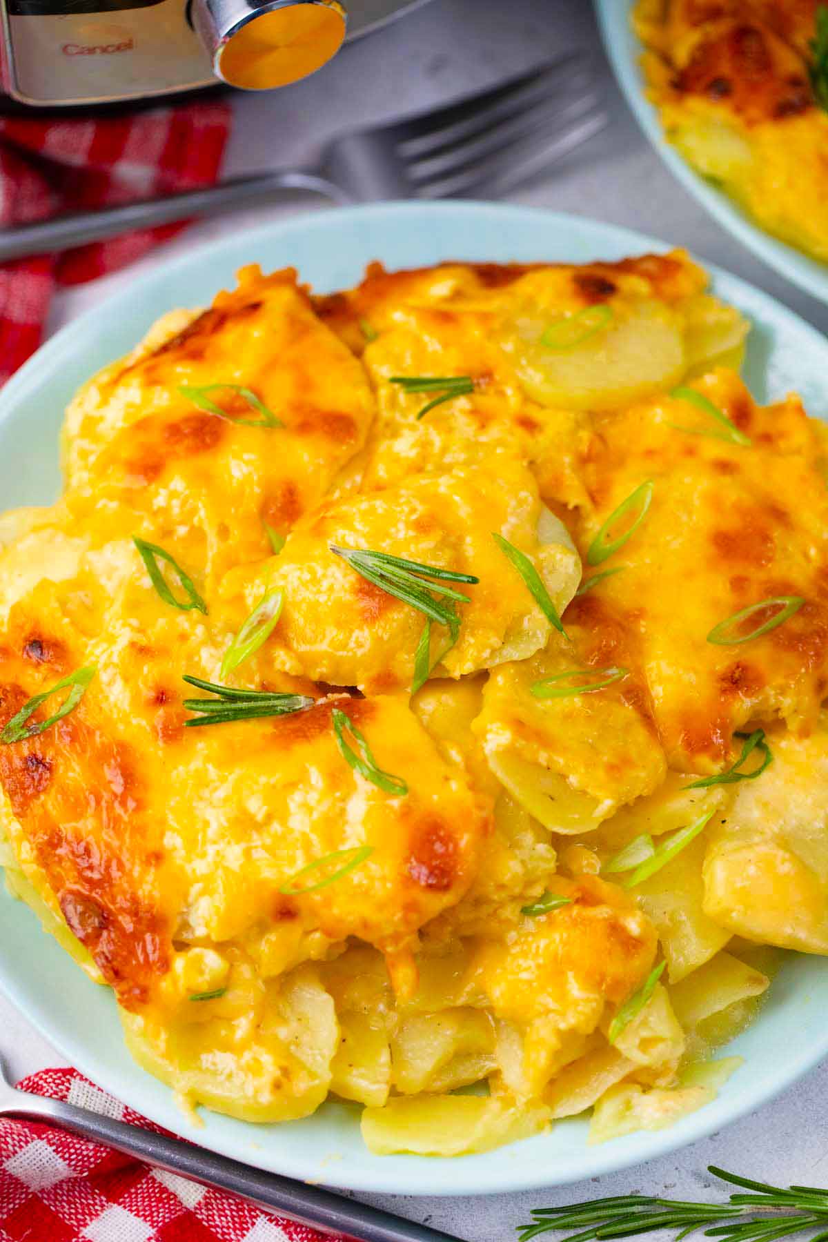Overhead shot of cheesy instant pot scalloped potatoes.