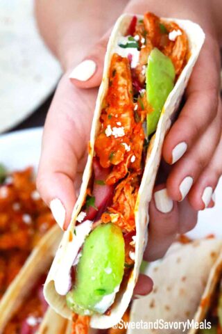 Chicken Tinga taco