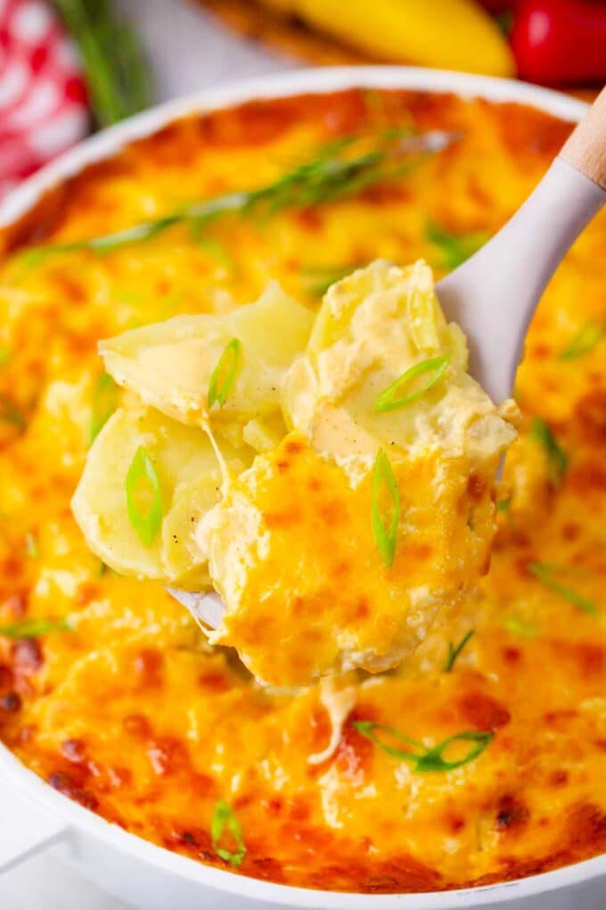 A serving spatula with instant pot scalloped potatoes.