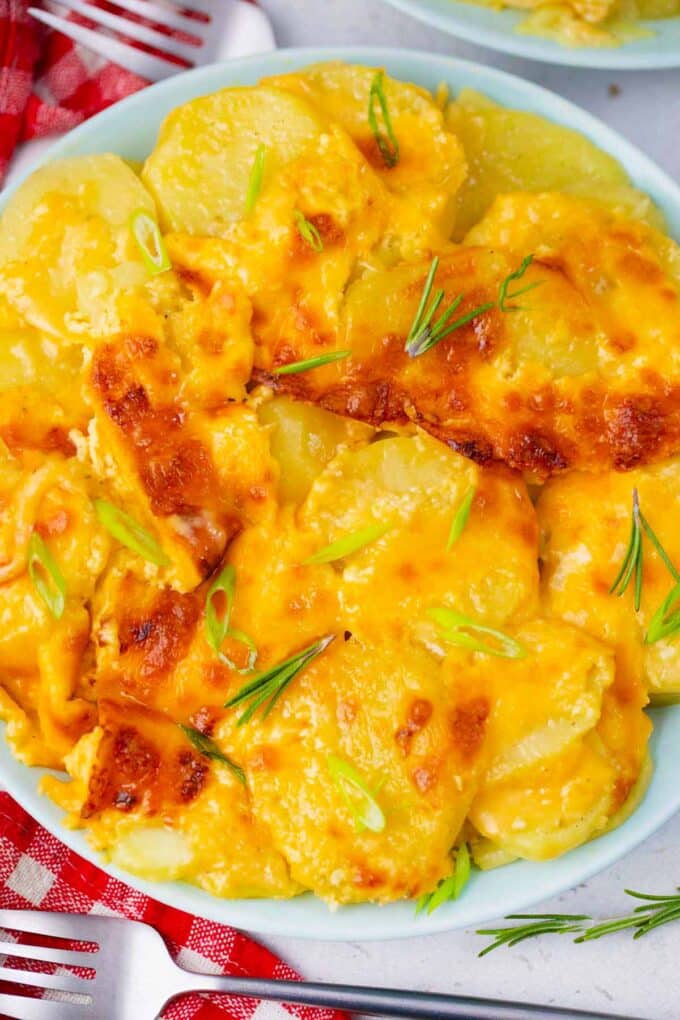 Overhead shot of perfectly cooked, broiled, instant pot scalloped potatoes.