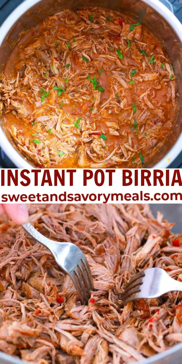 easy instant pot birria pin