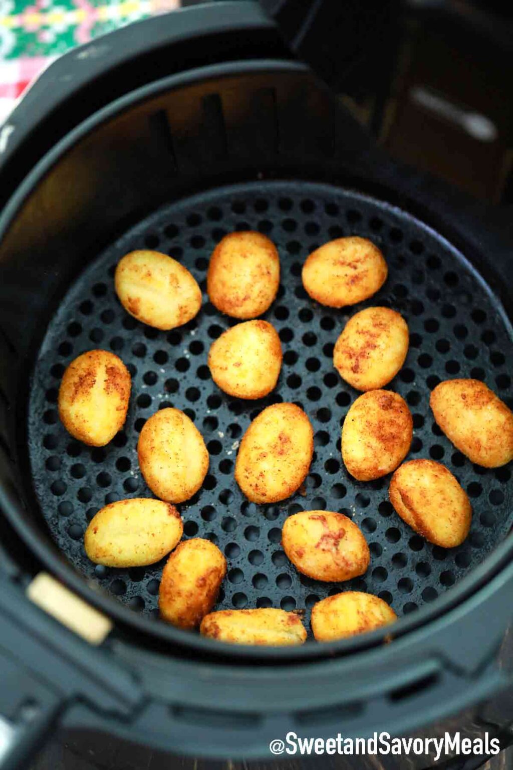 Crispy Air Fryer Gnocchi S&SM