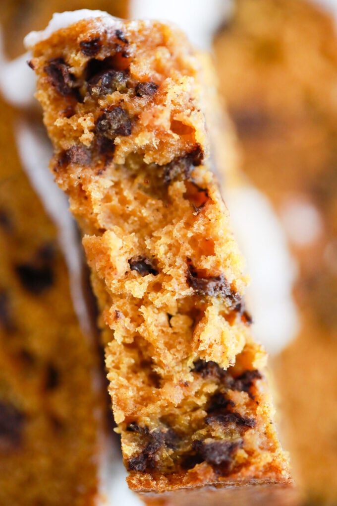 Close shot of the texture of chocolate chip pumpkin bread.