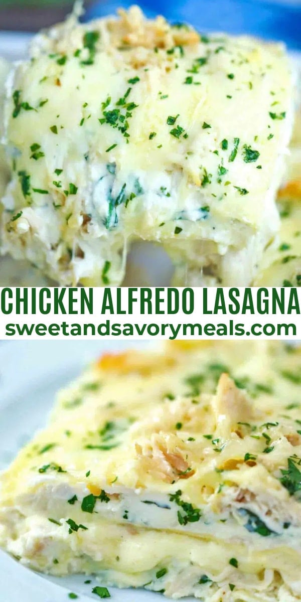 easy chicken alfredo lasagna pin
