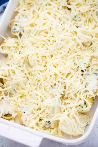 ricotta stuffed shells covered in cheese before baking
