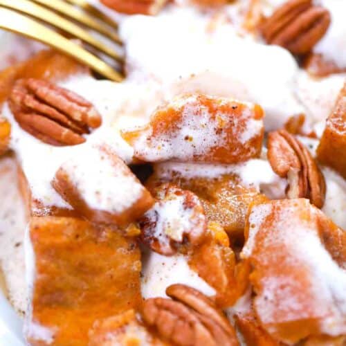 Crock-Pot Sweet Potato Casserole - Crock-Pot Ladies