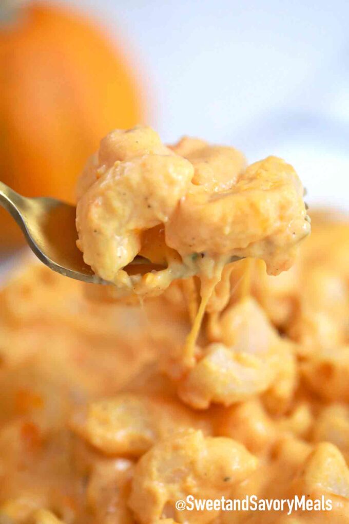 cheesy pumpkin Mac and cheese on a fork
