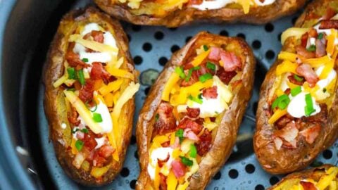 Potato skins air outlet fryer