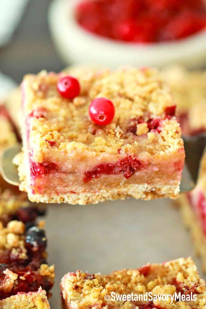 a piece of cranberry bar