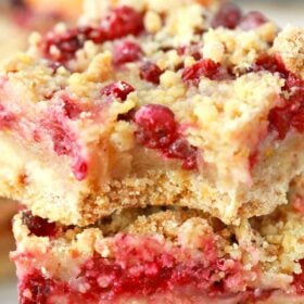 cranberry bars with a bite