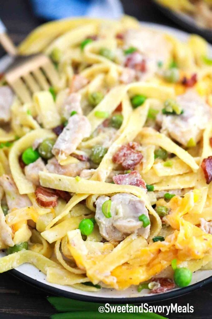 creamy pasta with chicken and bacon