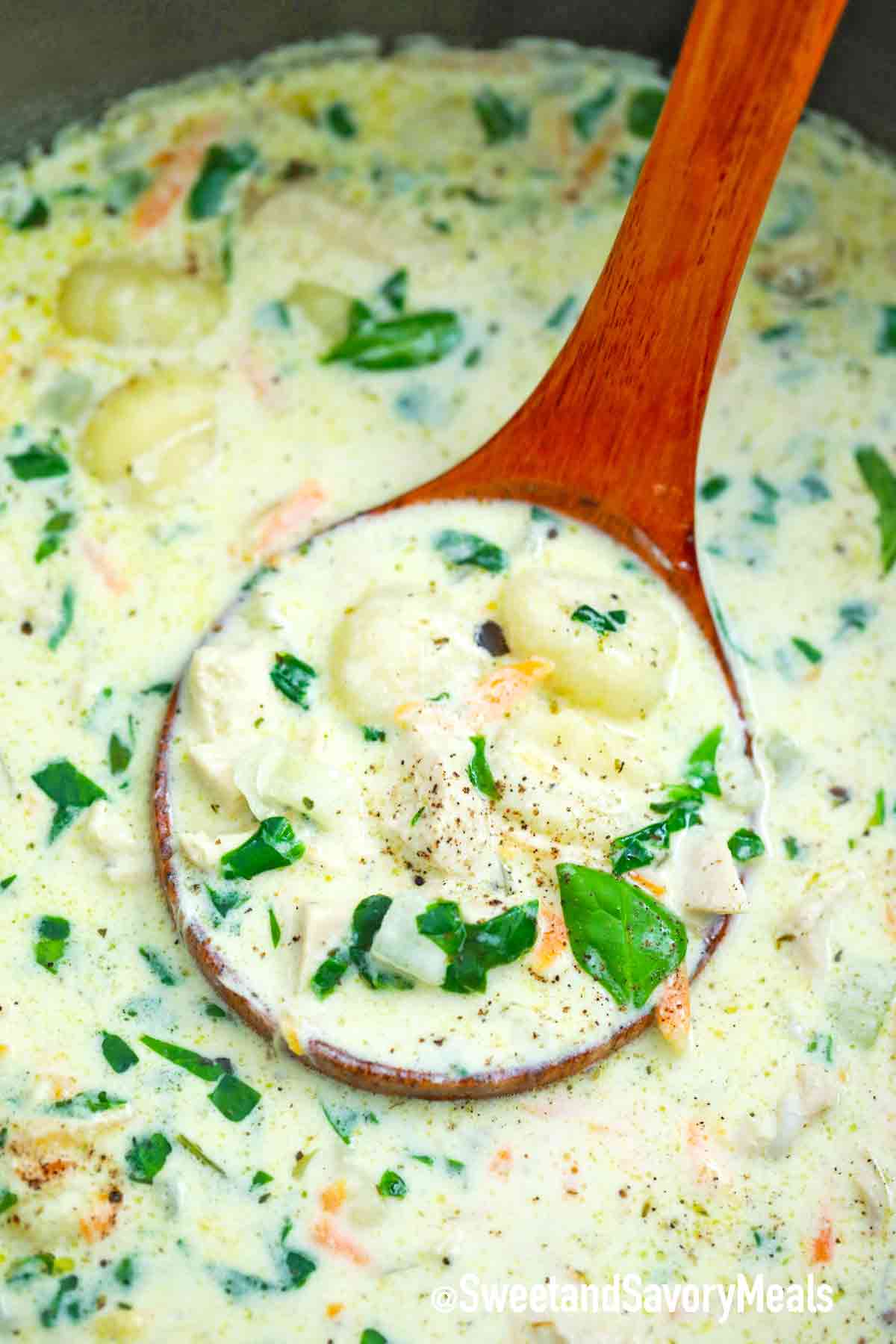 Olive Garden Chicken Gnocchi Soup Copycat S&SM