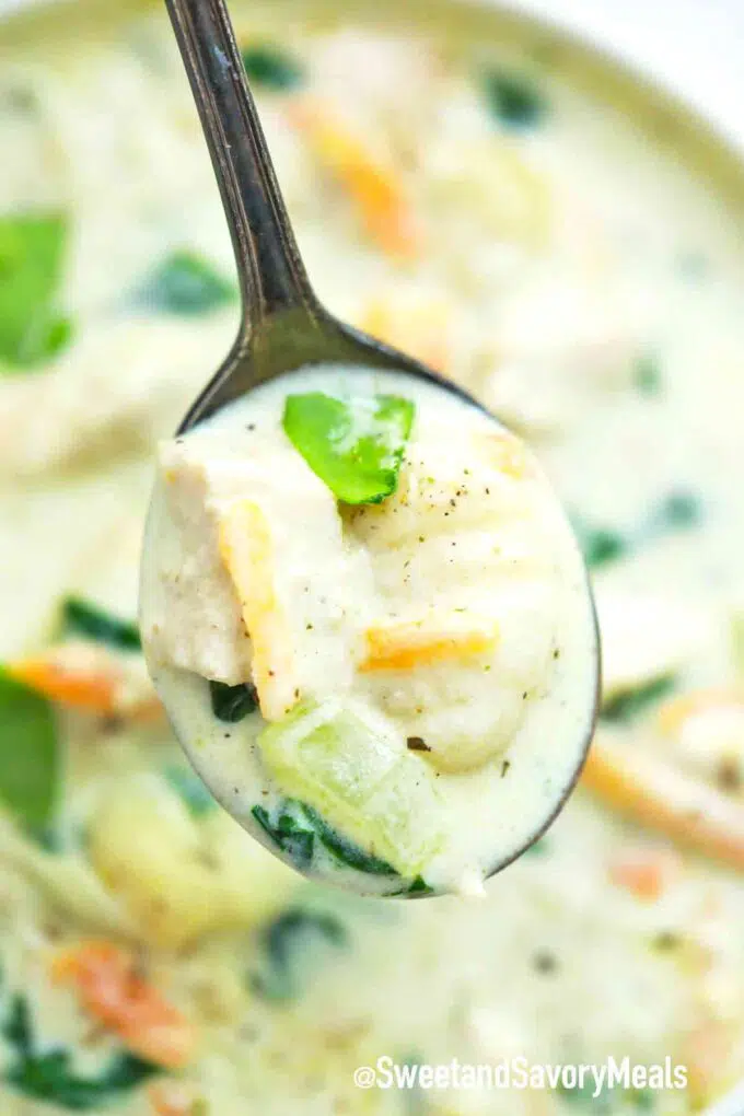 a spoonful of chicken gnocchi soup