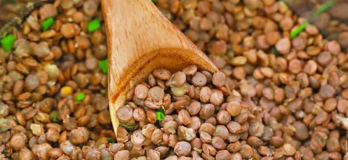 instant pot lentils