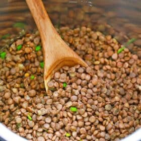 instant pot lentils