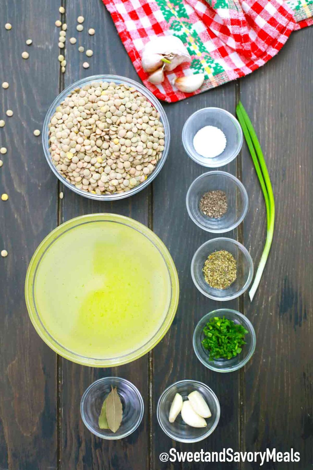 Easy Instant Pot Lentils Recipe S&SM