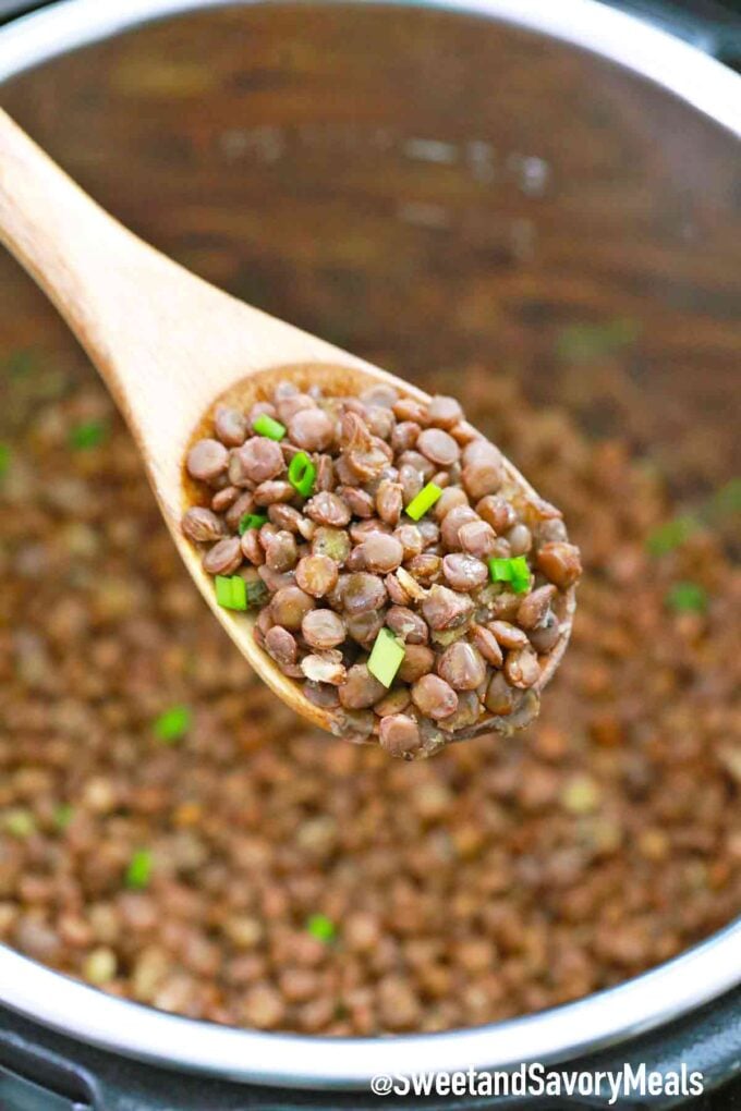 spoonful of cooked lentils