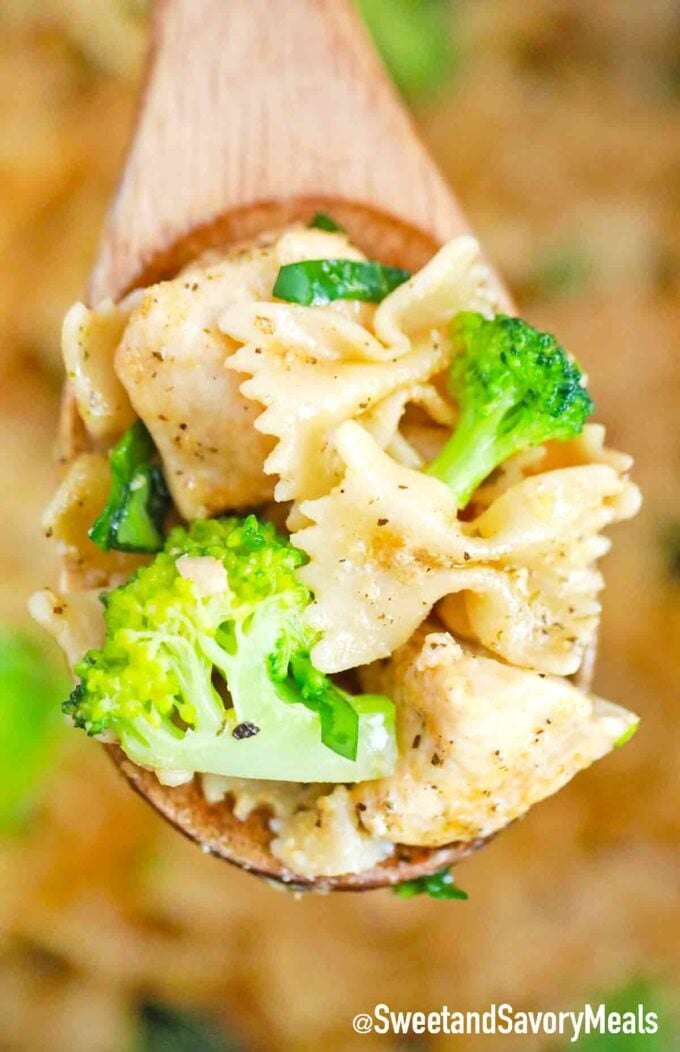 spoonful chicken broccoli pasta