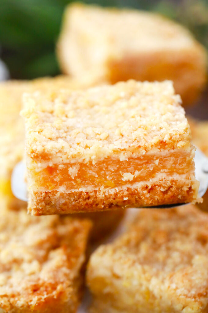 Homemade pineapple crumb bars.