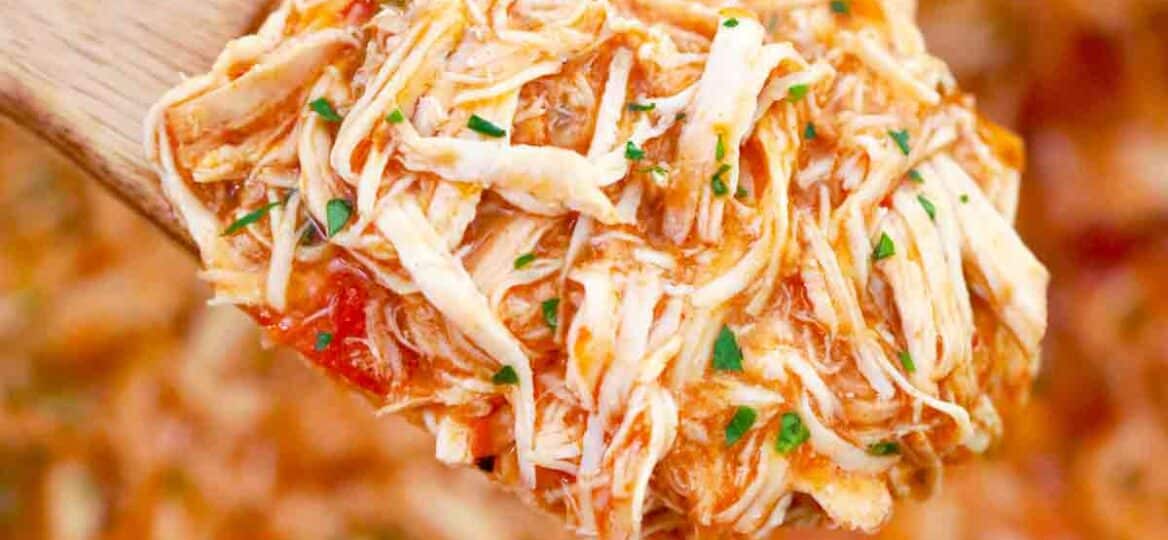a spoonful of shredded Mexican chicken