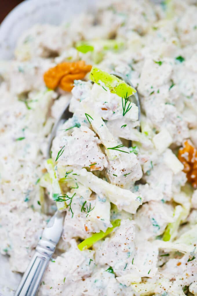 A bowl of creamy apple fennel chicken salad recipe.