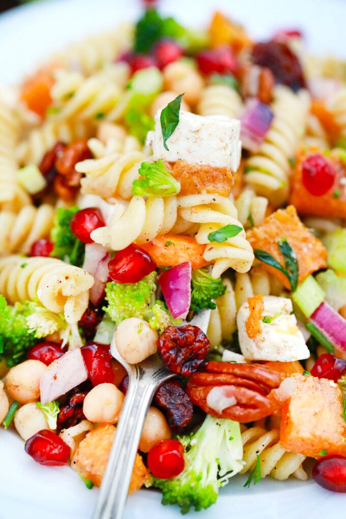 A forkful of colorful fall pasta salad.