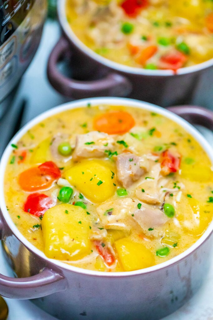 Homemade homemade Instant Pot chicken stew with vegetables.