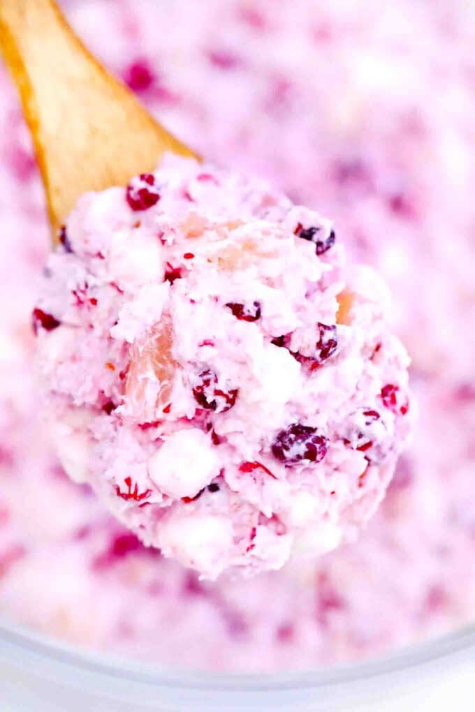 a spoonful of homemade millionaire cranberry salad