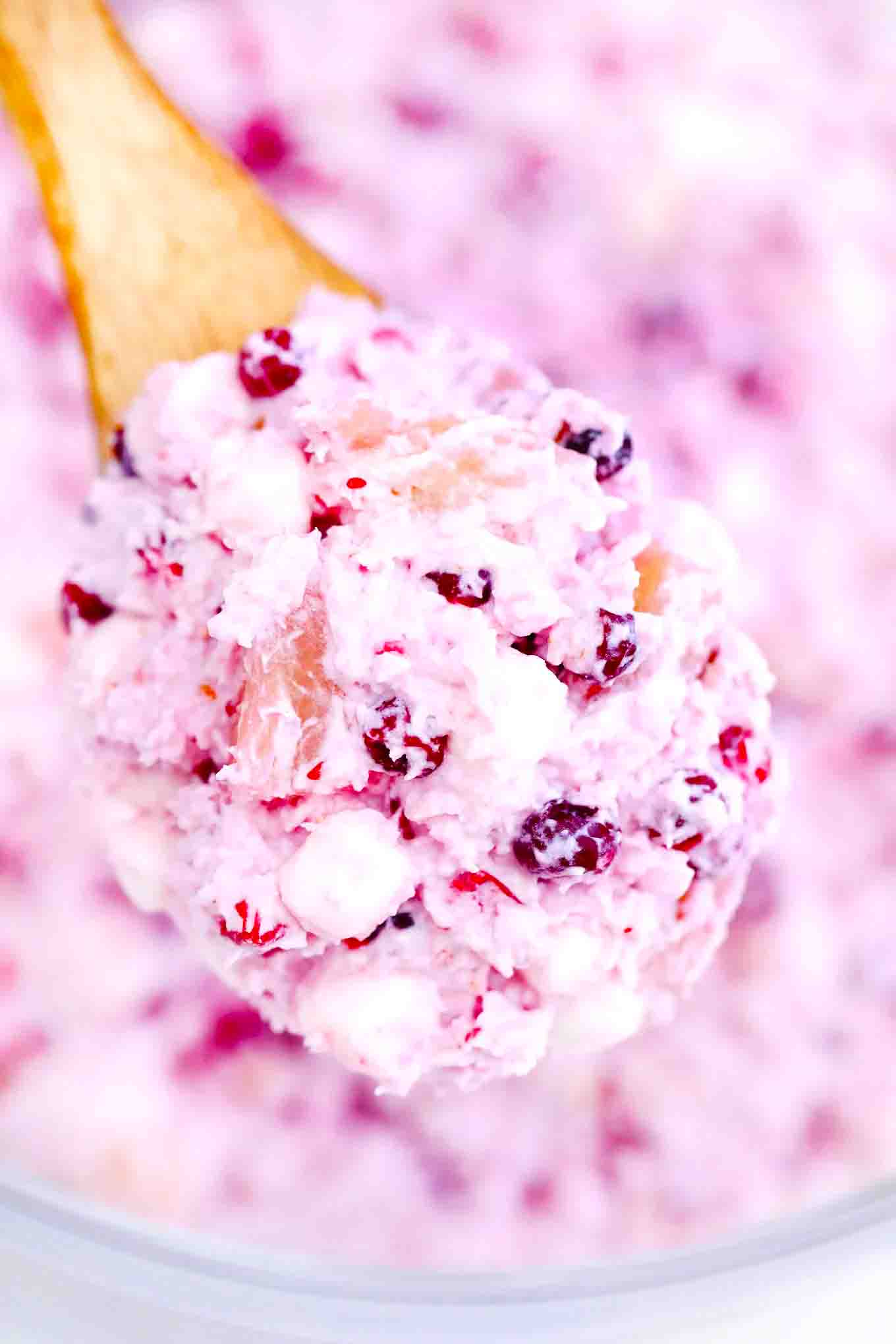 a spoonful of homemade millionaire cranberry salad