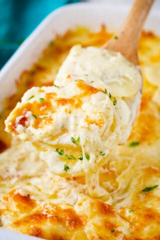 A spoonful of cheesy bechamel sauce potato gratin