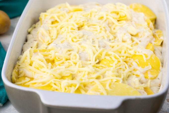 Layering homemade bechamel sauce potato gratin.