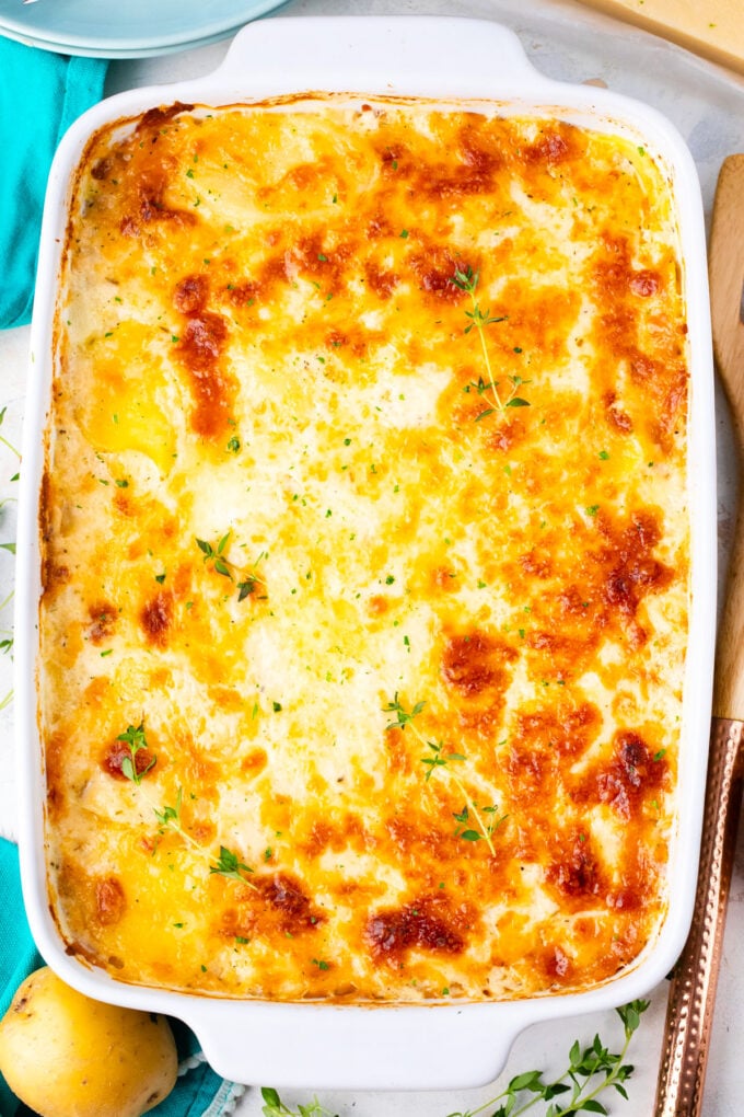 Overhead shot of baked bechamel sauce potato gratin.