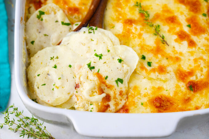 Italian bechamel sauce potato gratin casserole.