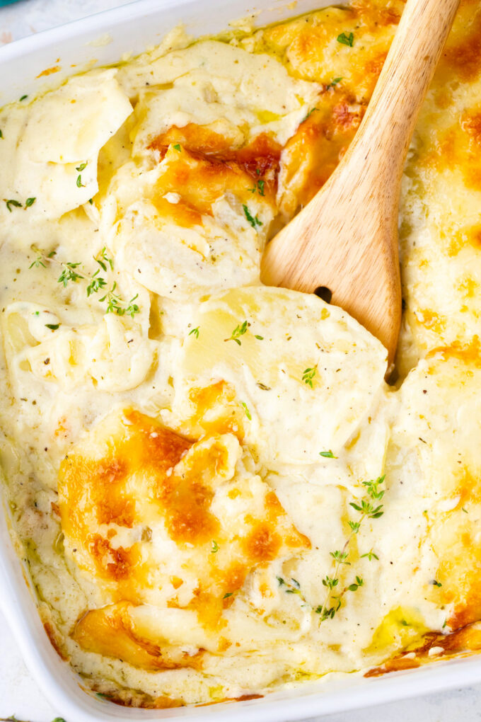 Very creamy and cheesy bechamel sauce potato gratin.