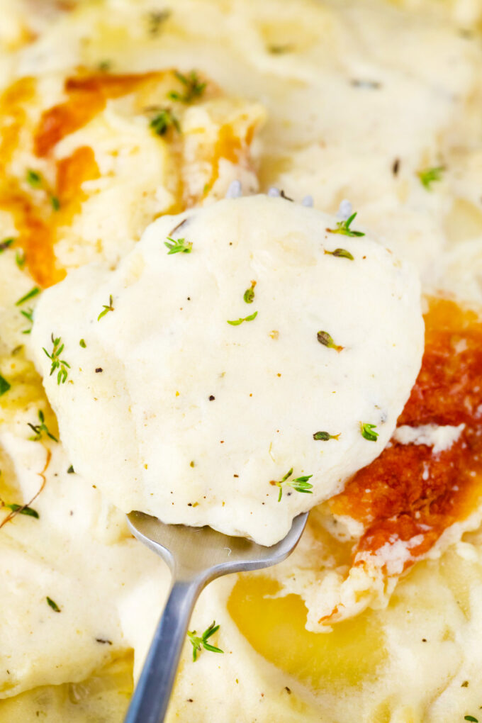 A forkful of tender and creamy bechamel sauce potato gratin.