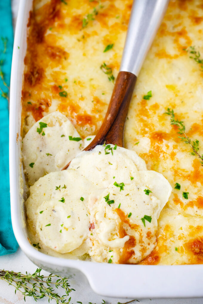 Very creamy Italian bechamel sauce potato gratin.