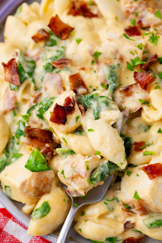 Close shot of cheesy instant pot chicken bacon ranch pasta shells.